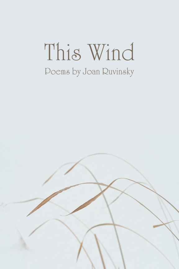 thisWindWebCover